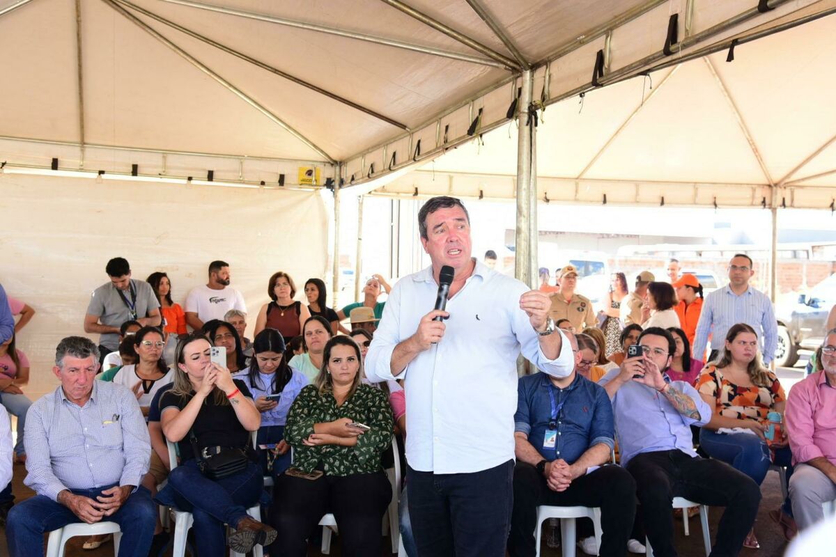 Imagem da Galeria